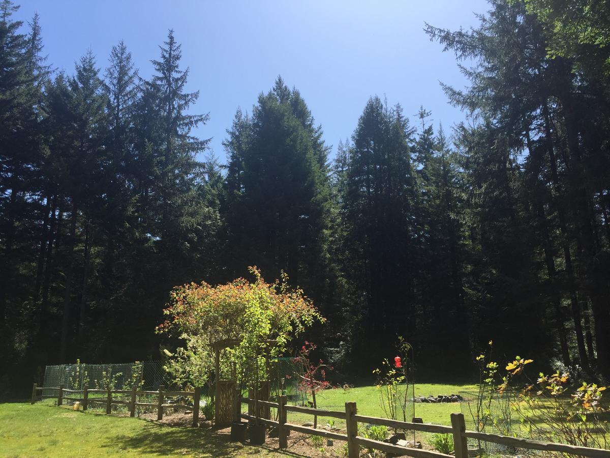 Redwood Forest Crescent City Bagian luar foto
